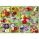 Flower Pictures - Bluebird 70474 - 1500 db-os puzzle