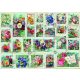 Stamp Flower Collection - Bluebird 70472 - 2000 db-os puzzle