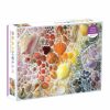 Rainbow Seashells 2000 db-os puzzle Galison