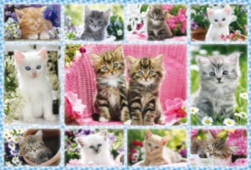 Kittens 100db (56135) Katzenbabys, 100 pcs