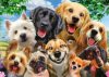 Dog Selfie, 500 pcs (58390) Hunde-Selfie