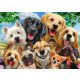 Dog Selfie, 500 pcs (58390) Hunde-Selfie