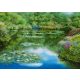 Water lily pond, 1000 pcs (59657) Seerosenteich