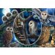 Mysterious owls, 1000 pcs (59667) Geheimnisvolle Eulen