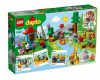 LEGO DUPLO Town - A világ állatai 10907