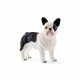 Schleich Fancia bulldog